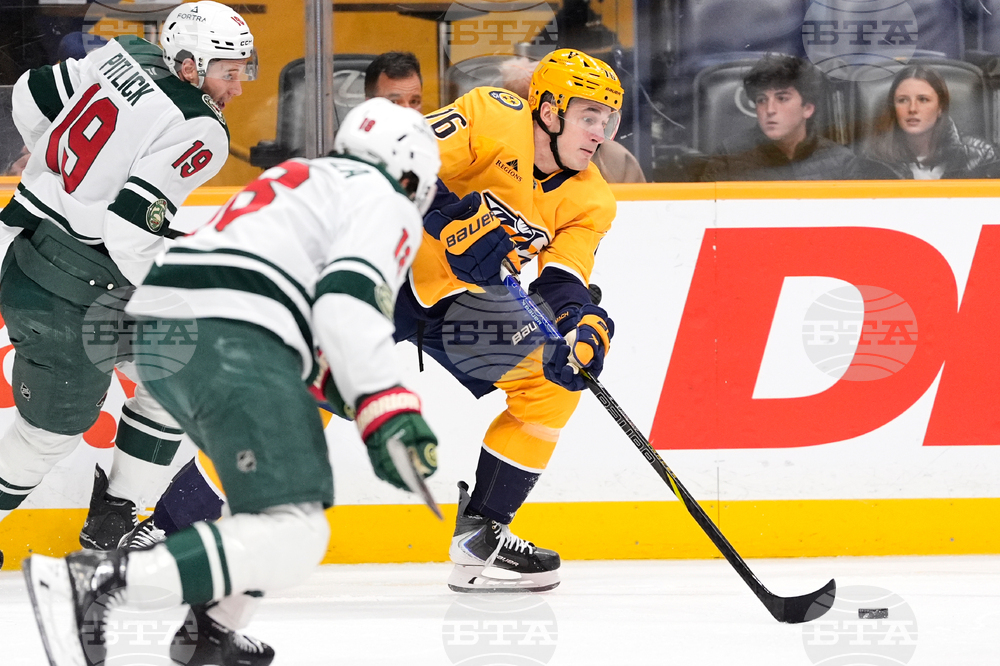 Wild Predators Hockey