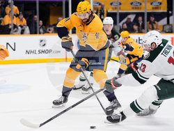 Wild Predators Hockey