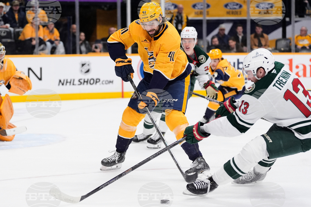 Wild Predators Hockey