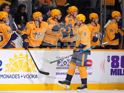 Wild Predators Hockey