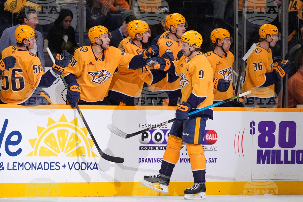 Wild Predators Hockey