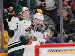 Wild Predators Hockey