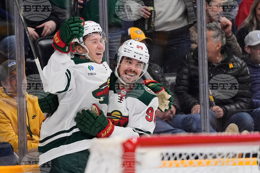 Wild Predators Hockey