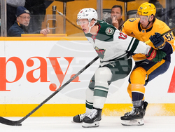 Wild Predators Hockey