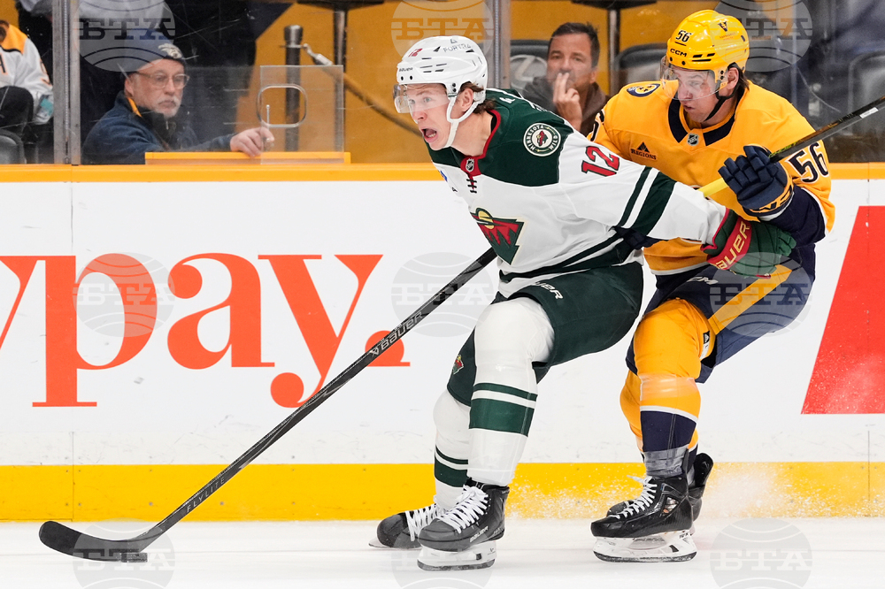 Wild Predators Hockey