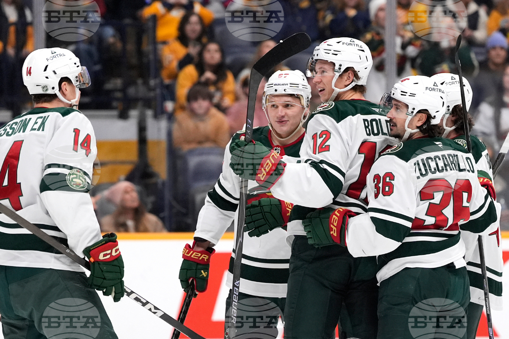 Wild Predators Hockey