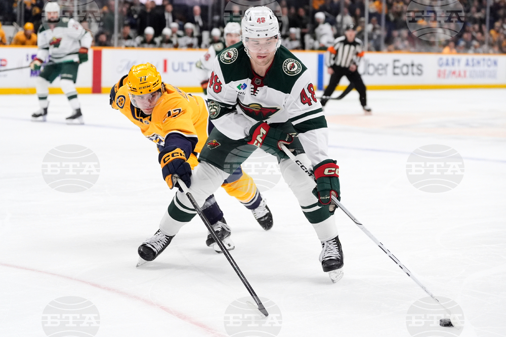 Wild Predators Hockey