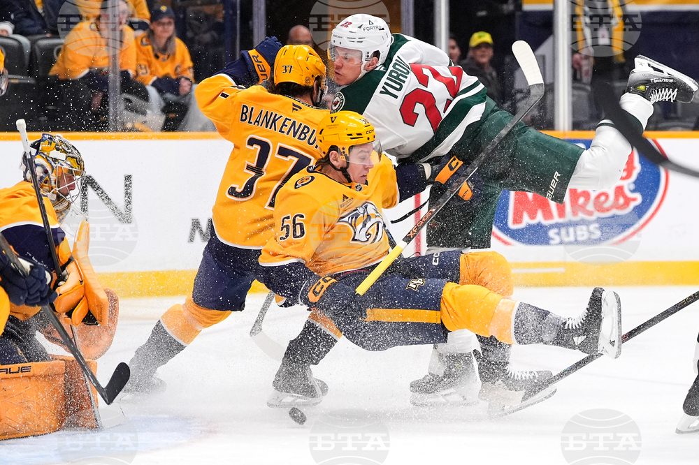 Wild Predators Hockey