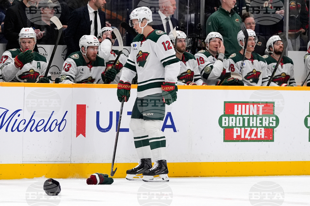 Wild Predators Hockey