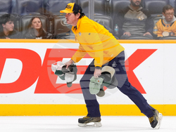 Wild Predators Hockey