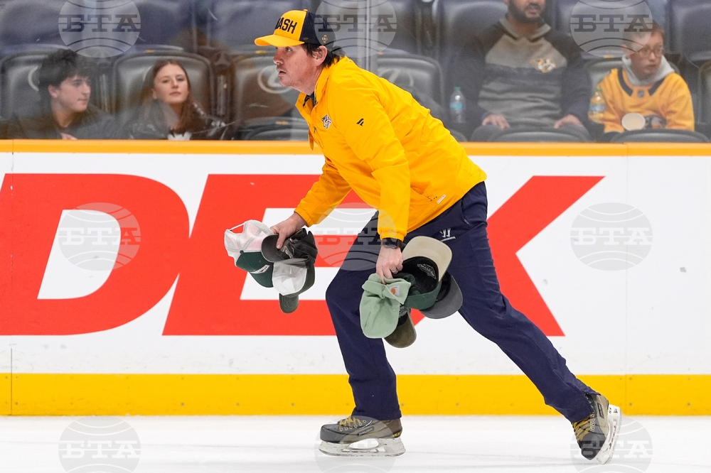 Wild Predators Hockey