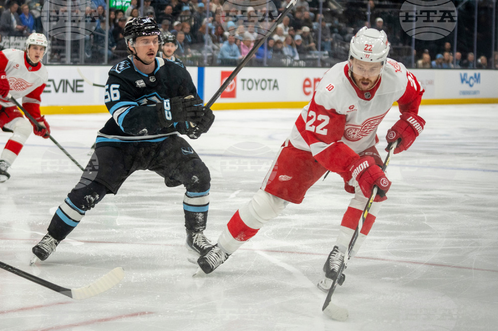 Redwings Mammoth Hockey