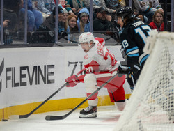 Redwings Mammoth Hockey