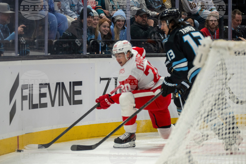 Redwings Mammoth Hockey