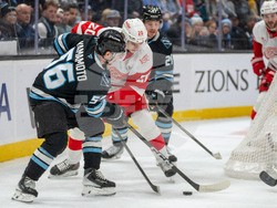 Redwings Mammoth Hockey