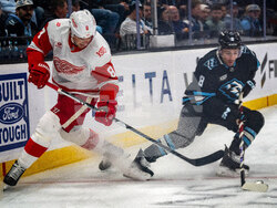 Redwings Mammoth Hockey