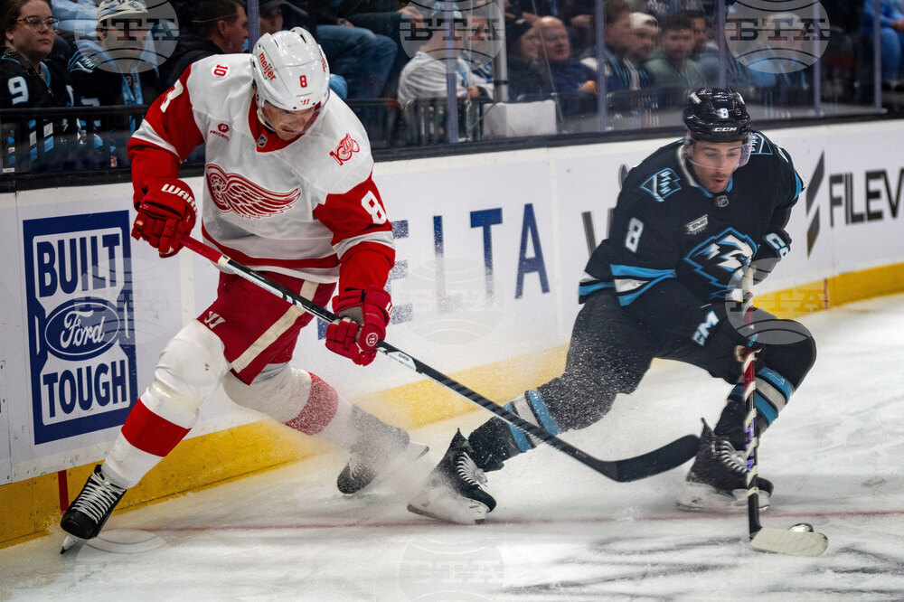 Redwings Mammoth Hockey