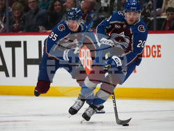 Sharks Avalanche Hockey