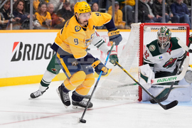 Wild Predators Hockey