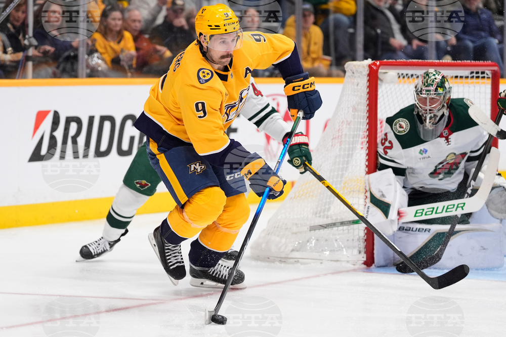 Wild Predators Hockey