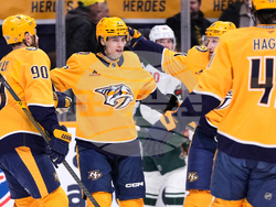 Wild Predators Hockey