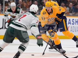 Wild Predators Hockey