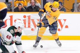 Wild Predators Hockey