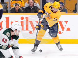 Wild Predators Hockey