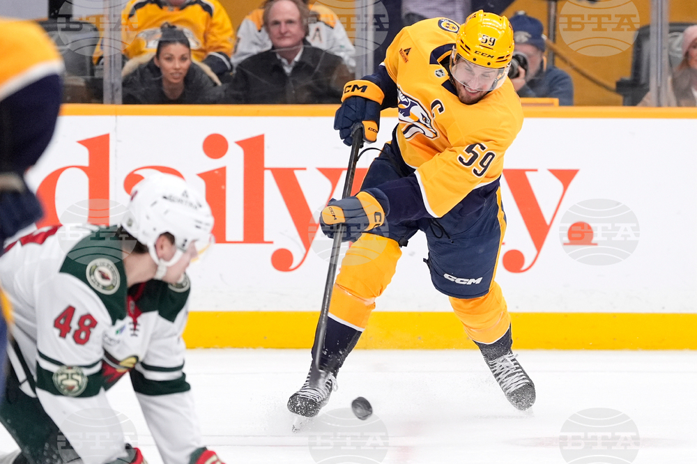 Wild Predators Hockey