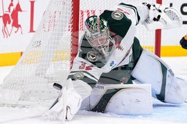 Wild Predators Hockey