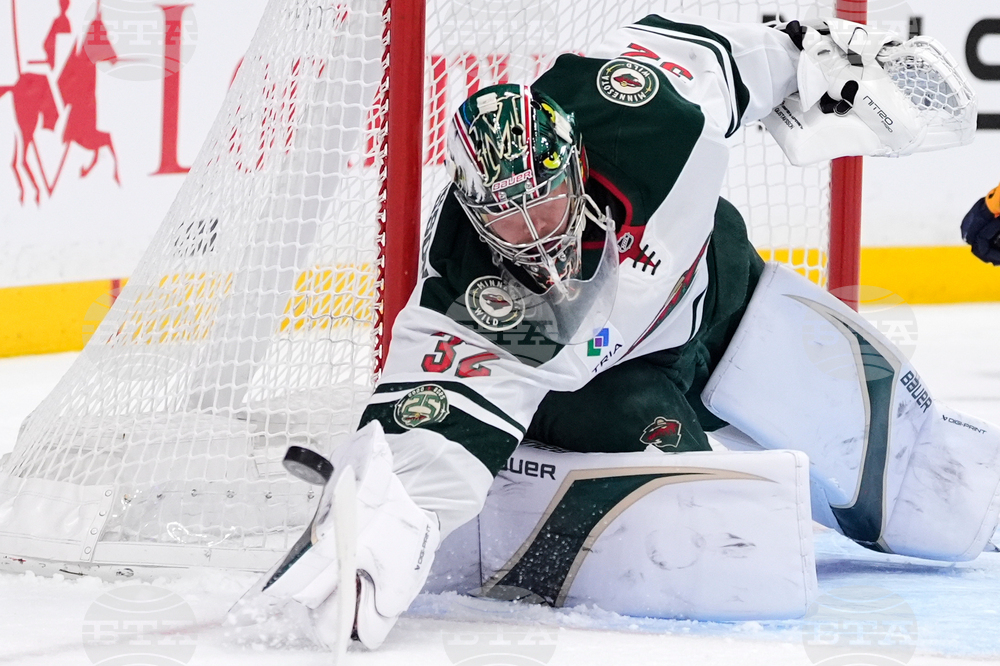 Wild Predators Hockey