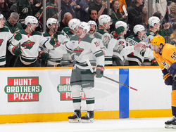 Wild Predators Hockey