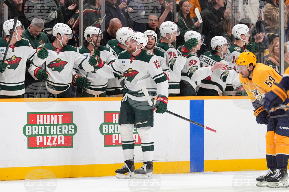 Wild Predators Hockey