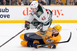 Wild Predators Hockey