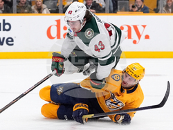 Wild Predators Hockey