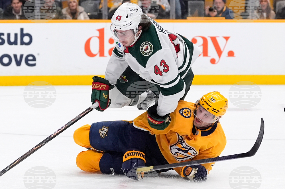 Wild Predators Hockey