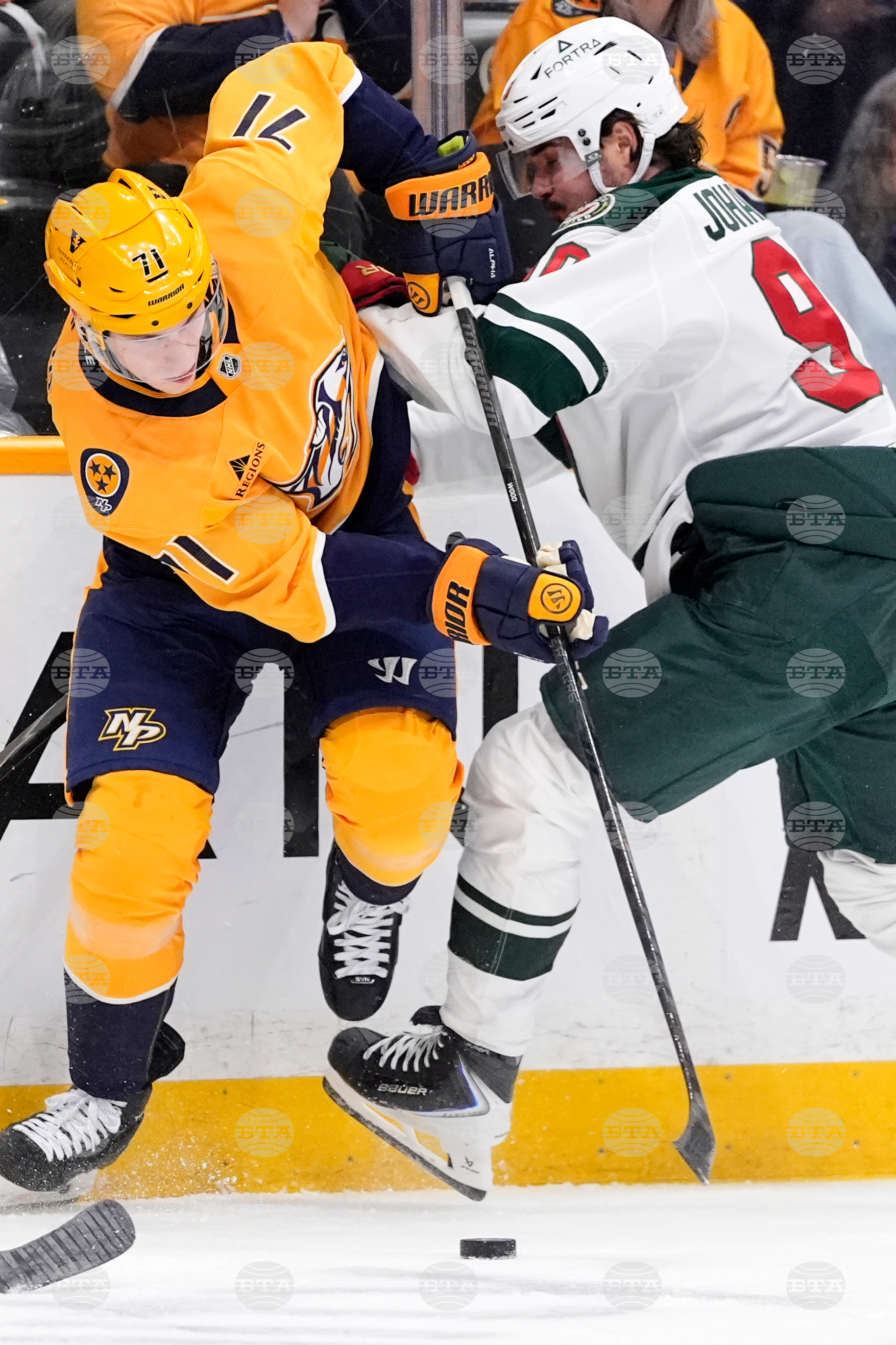 Wild Predators Hockey