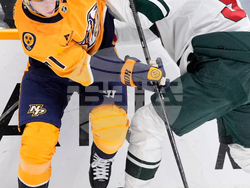 Wild Predators Hockey