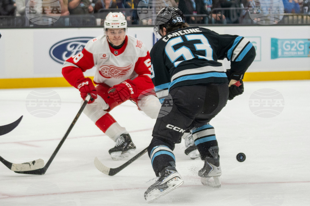 Redwings Mammoth Hockey