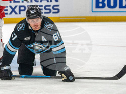 Redwings Mammoth Hockey