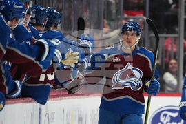 Sharks Avalanche Hockey