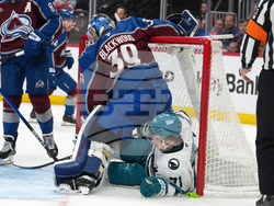 Sharks Avalanche Hockey