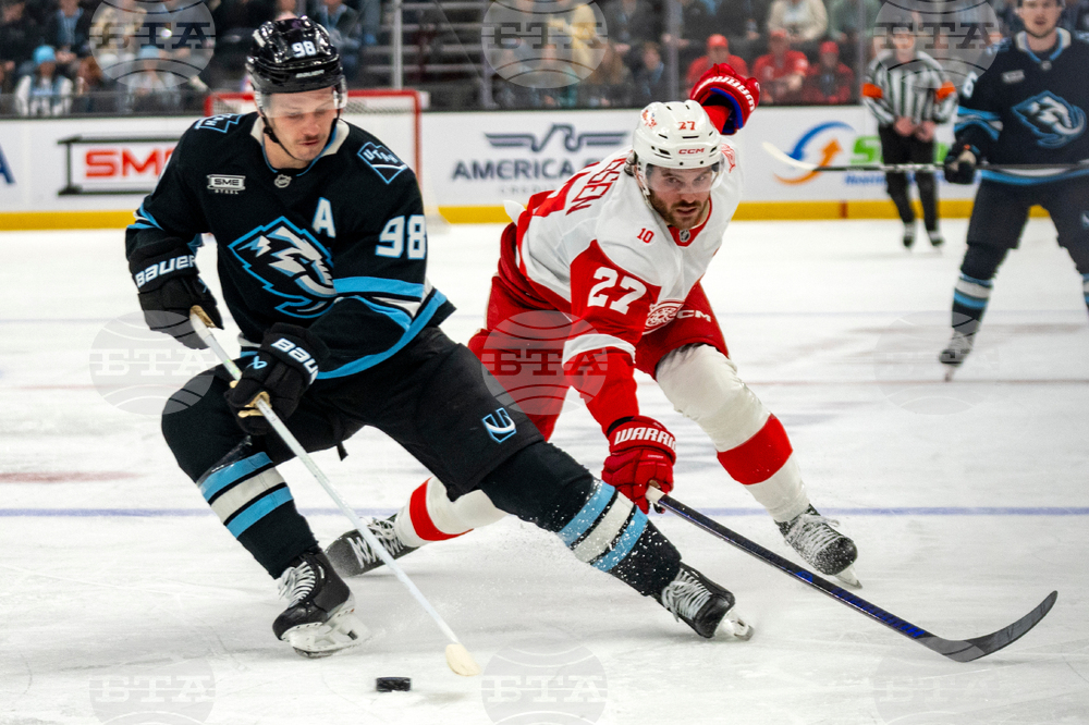 Redwings Mammoth Hockey