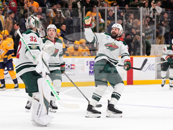 Wild Predators Hockey