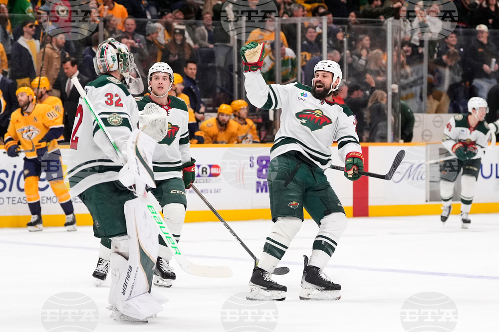 Wild Predators Hockey