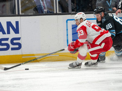 Redwings Mammoth Hockey