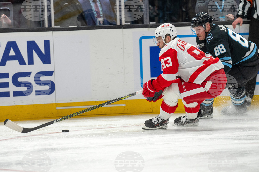Redwings Mammoth Hockey