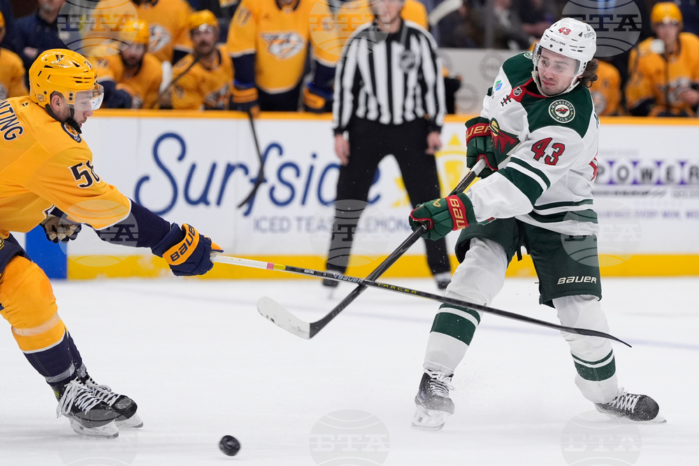 Wild Predators Hockey