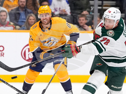 Wild Predators Hockey