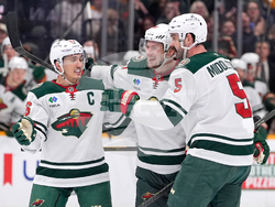 Wild Predators Hockey